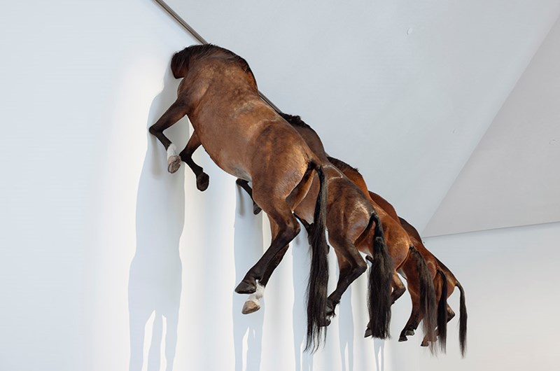 Maurizio Cattelan, 2013 Foto: My Matson/Moderna Museet © Maurizio Cattelan 2024