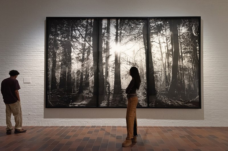 Installationsvy, Robert Longo, Louisiana 