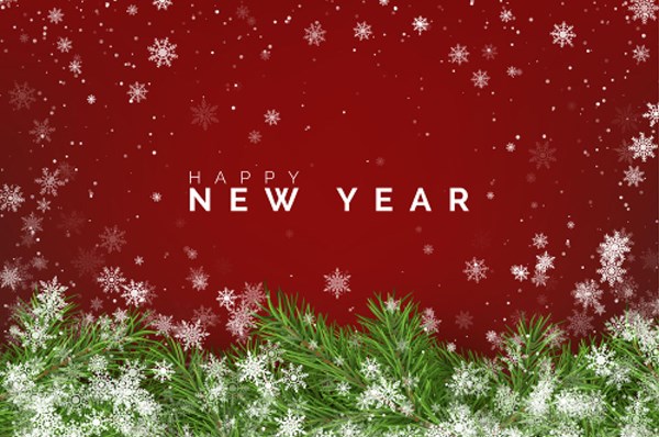 Ge bort ett helt år av konst !