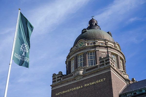 Naturhistoriska öppnar – i köpcentrum